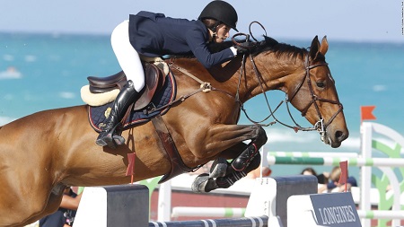 Rockefeller during the show jumping contest